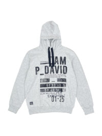 هودی مردانه طوسی CAMP DAVID کد A1138
