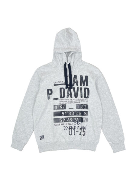 هودی مردانه طوسی CAMP DAVID کد A1138