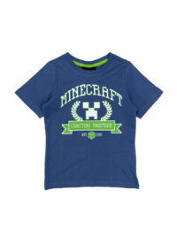 تیشرت یقه گرد پسرانه MINECRAFT کد A1421