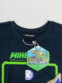 تیشرت نخ پنبه پسرانه Minecraft