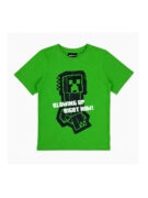 تیشرت یقه گرد پسرانه Minecraft کد A4576